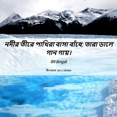 Picture 06 - গীতমালা 104:12 BENIRV - নদীর তীরে পাখিরা - Bible Verse Picture