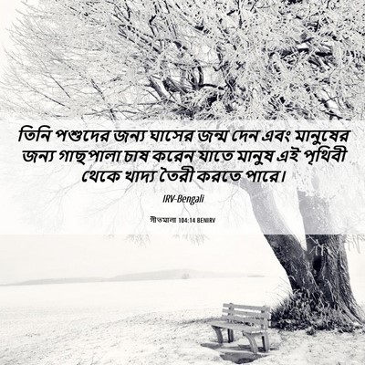 Picture 06 - গীতমালা 104:14 BENIRV - তিনি পশুদের জন্য - Bible Verse Picture