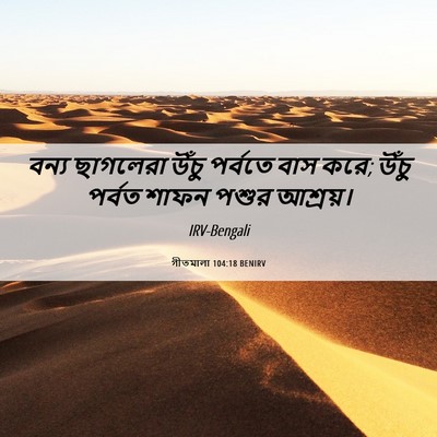 Picture 06 - গীতমালা 104:18 BENIRV - বন্য ছাগলেরা উঁচু - Bible Verse Picture