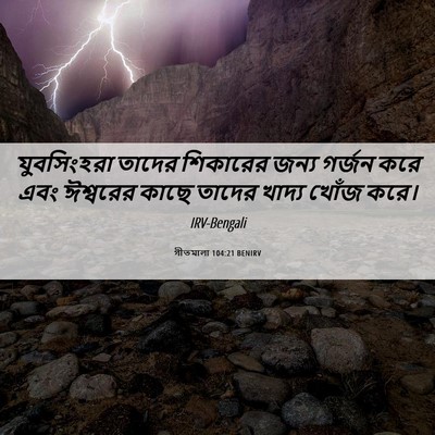 Picture 06 - গীতমালা 104:21 BENIRV - যুবসিংহরা তাদের - Bible Verse Picture