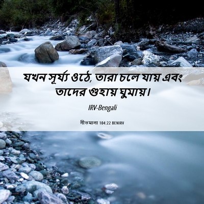 Picture 06 - গীতমালা 104:22 BENIRV - যখন সূর্য্য ওঠে, - Bible Verse Picture