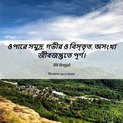 Picture 06 - গীতমালা 104:25 BENIRV - ওপারে সমুদ্র, গভীর - Bible Verse Picture