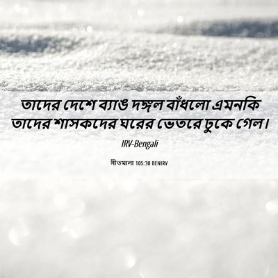 Picture 06 - গীতমালা 105:30 BENIRV - তাদের দেশে ব্যাঙ - Bible Verse Picture