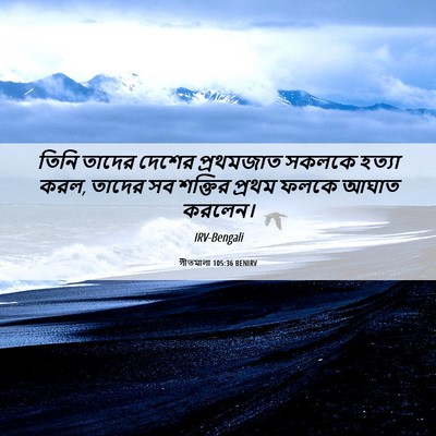 Picture 06 - গীতমালা 105:36 BENIRV - তিনি তাদের দেশের - Bible Verse Picture