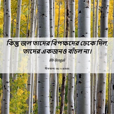 Picture 06 - গীতমালা 106:11 BENIRV - কিন্তু জল তাদের - Bible Verse Picture
