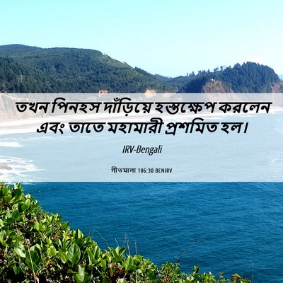 Picture 06 - গীতমালা 106:30 BENIRV - তখন পিনহস - Bible Verse Picture
