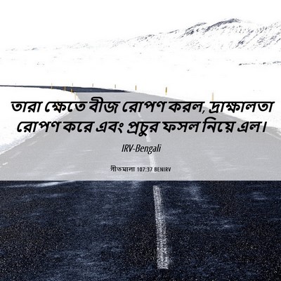 Picture 06 - গীতমালা 107:37 BENIRV - তারা ক্ষেতে বীজ - Bible Verse Picture