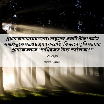 Picture 06 - গীতমালা 11:1 BENIRV - প্রধান বাদ্যকরের - Bible Verse Picture