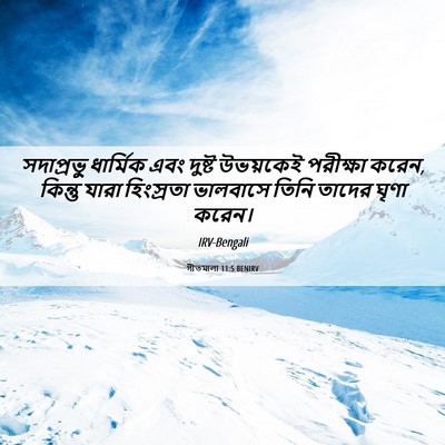 Picture 06 - গীতমালা 11:5 BENIRV - সদাপ্রভুু ধার্মিক - Bible Verse Picture