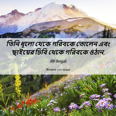 Picture 06 - গীতমালা 113:7 BENIRV - তিনি ধূলো থেকে - Bible Verse Picture