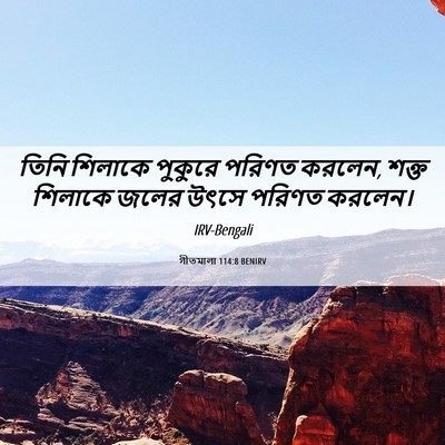 Picture 06 - গীতমালা 114:8 BENIRV - তিনি শিলাকে - Bible Verse Picture