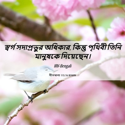 Picture 06 - গীতমালা 115:16 BENIRV - স্বর্গ সদাপ্রভুুর - Bible Verse Picture