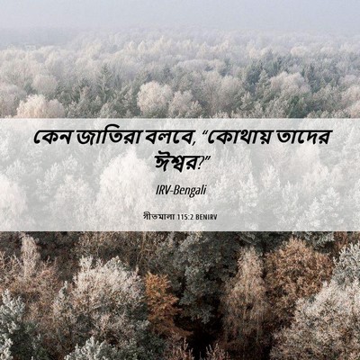 Picture 06 - গীতমালা 115:2 BENIRV - কেন জাতিরা বলবে, - Bible Verse Picture