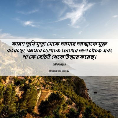 Picture 06 - গীতমালা 116:8 BENIRV - কারণ তুমি মৃত্যু - Bible Verse Picture