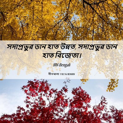 Picture 06 - গীতমালা 118:16 BENIRV - সদাপ্রভুুর ডান - Bible Verse Picture
