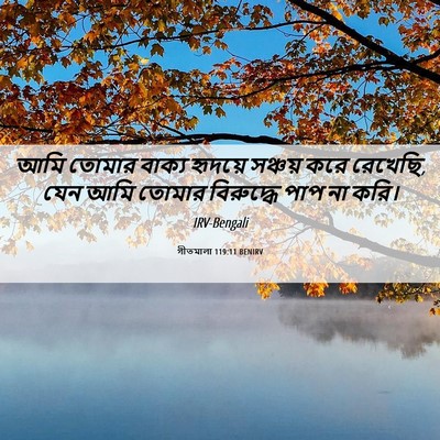 Picture 06 - গীতমালা 119:11 BENIRV - আমি তোমার বাক্য - Bible Verse Picture