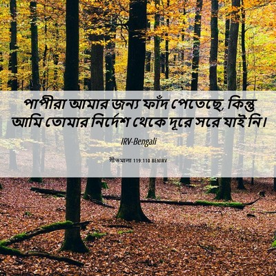 Picture 06 - গীতমালা 119:110 BENIRV - পাপীরা আমার জন্য - Bible Verse Picture