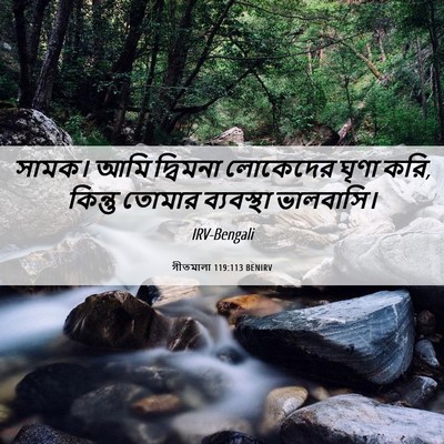 Picture 06 - গীতমালা 119:113 BENIRV - সামক। আমি দ্বিমনা - Bible Verse Picture