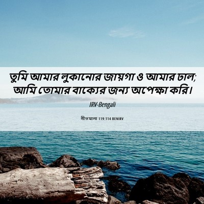 Picture 06 - গীতমালা 119:114 BENIRV - তুমি আমার লুকানোর - Bible Verse Picture