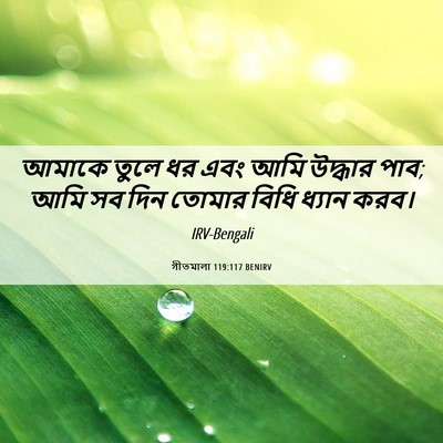 Picture 06 - গীতমালা 119:117 BENIRV - আমাকে তুলে ধর এবং - Bible Verse Picture