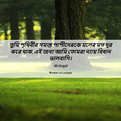 Picture 06 - গীতমালা 119:119 BENIRV - তুমি পৃথিবীর - Bible Verse Picture