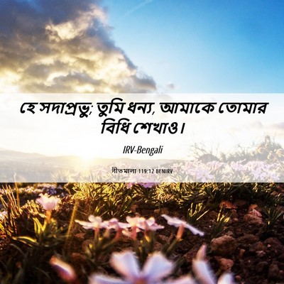 Picture 06 - গীতমালা 119:12 BENIRV - হে সদাপ্রভুু; তুমি - Bible Verse Picture