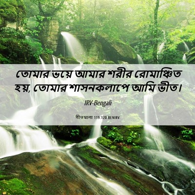 Picture 06 - গীতমালা 119:120 BENIRV - তোমার ভয়ে আমার - Bible Verse Picture