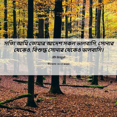 Picture 06 - গীতমালা 119:127 BENIRV - সত্যি আমি তোমার - Bible Verse Picture