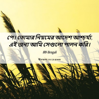 Picture 06 - গীতমালা 119:129 BENIRV - পে। তোমার নিয়মের - Bible Verse Picture