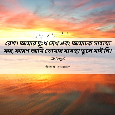 Picture 06 - গীতমালা 119:153 BENIRV - রেশ। আমার দুঃখ দেখ - Bible Verse Picture
