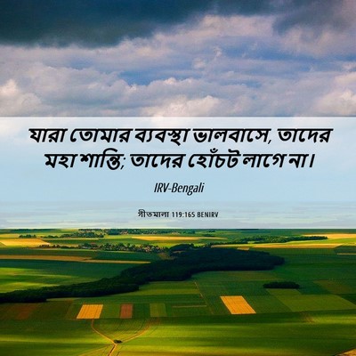 Picture 06 - গীতমালা 119:165 BENIRV - যারা তোমার - Bible Verse Picture