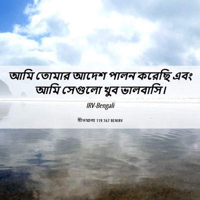 Picture 06 - গীতমালা 119:167 BENIRV - আমি তোমার আদেশ - Bible Verse Picture