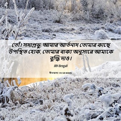 Picture 06 - গীতমালা 119:169 BENIRV - তোঁ। সদাপ্রভুু, - Bible Verse Picture