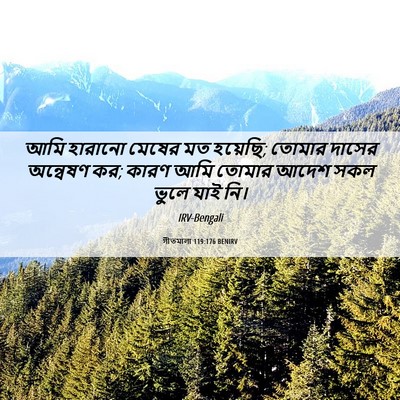 Picture 06 - গীতমালা 119:176 BENIRV - আমি হারানো মেষের - Bible Verse Picture