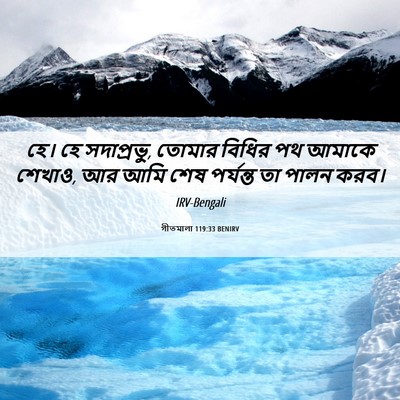 Picture 06 - গীতমালা 119:33 BENIRV - হে। হে সদাপ্রভুু, - Bible Verse Picture