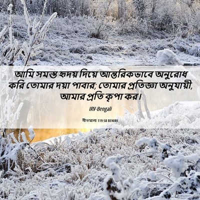 Picture 06 - গীতমালা 119:58 BENIRV - আমি সমস্ত হৃদয় - Bible Verse Picture
