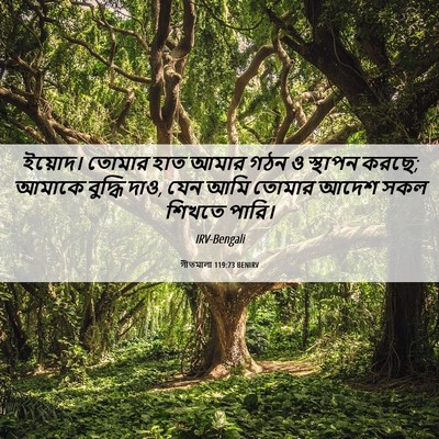 Picture 06 - গীতমালা 119:73 BENIRV - ইয়োদ। তোমার হাত - Bible Verse Picture