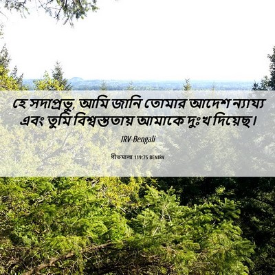 Picture 06 - গীতমালা 119:75 BENIRV - হে সদাপ্রভুু, আমি - Bible Verse Picture