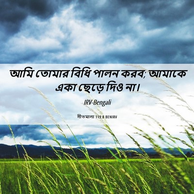 Picture 06 - গীতমালা 119:8 BENIRV - আমি তোমার বিধি - Bible Verse Picture