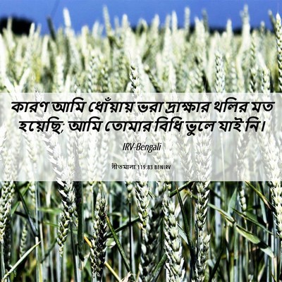 Picture 06 - গীতমালা 119:83 BENIRV - কারণ আমি ধোঁয়ায় - Bible Verse Picture