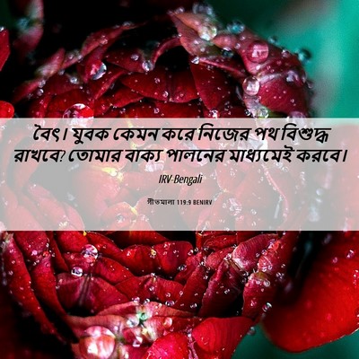 Picture 06 - গীতমালা 119:9 BENIRV - বৈৎ। যুবক কেমন করে - Bible Verse Picture