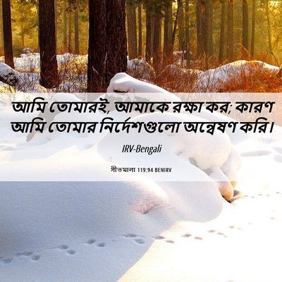 Picture 06 - গীতমালা 119:94 BENIRV - আমি তোমারই, আমাকে - Bible Verse Picture