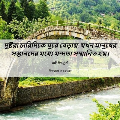 Picture 06 - গীতমালা 12:8 BENIRV - দুষ্টরা চারিদিকে - Bible Verse Picture