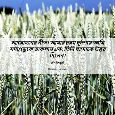 Picture 06 - গীতমালা 120:1 BENIRV - আরোহনের গীত। আমার - Bible Verse Picture