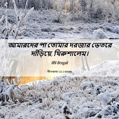 Picture 06 - গীতমালা 122:2 BENIRV - আমারদের পা তোমার - Bible Verse Picture