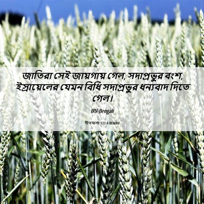 Picture 06 - গীতমালা 122:4 BENIRV - জাতিরা সেই - Bible Verse Picture