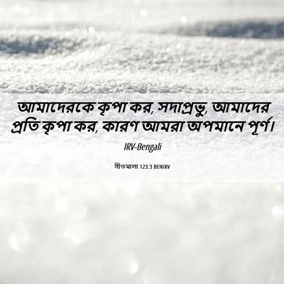 Picture 06 - গীতমালা 123:3 BENIRV - আমাদেরকে কৃপা কর, - Bible Verse Picture