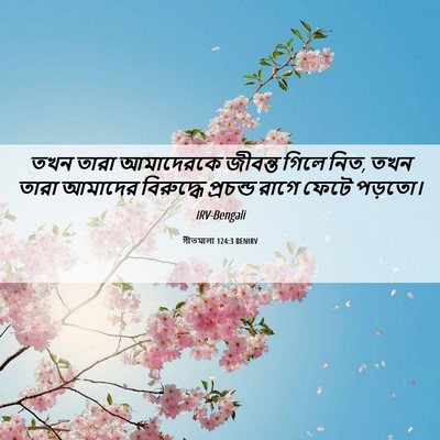 Picture 06 - গীতমালা 124:3 BENIRV - তখন তারা আমাদেরকে - Bible Verse Picture