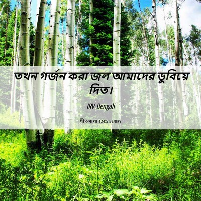Picture 06 - গীতমালা 124:5 BENIRV - তখন গর্জন করা জল - Bible Verse Picture