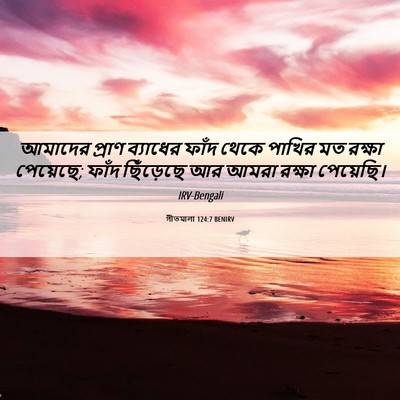 Picture 06 - গীতমালা 124:7 BENIRV - আমাদের প্রাণ - Bible Verse Picture